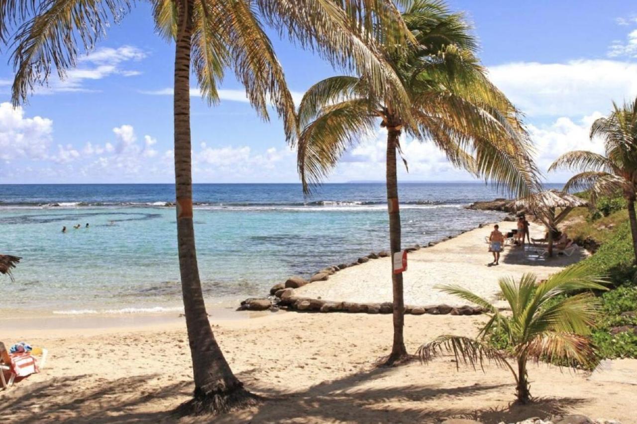 Archipel - Cocon D'Une Architecte En Guadeloupe Saint-Francois  Eksteriør bilde